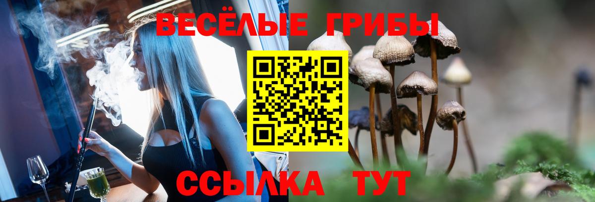 Галлюциногенные грибы Psilocybine cubensis  Вход с VPN  Сатка 